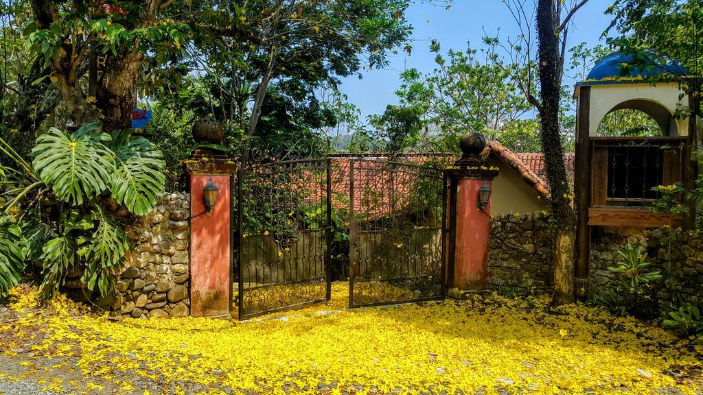 Casa Mare Nostrvm Bed & Breakfast