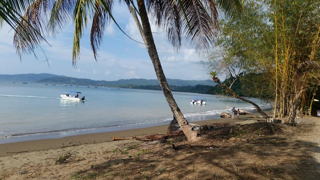 Our Corcovado * Drake Bay