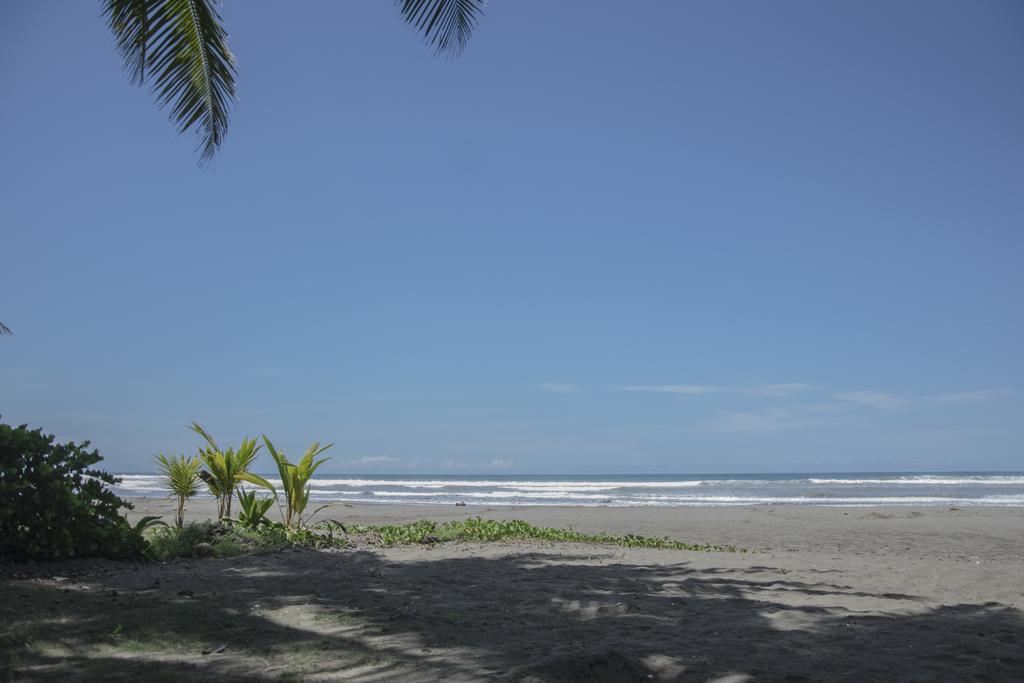 Pelican Beachfront