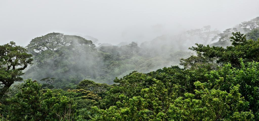 El Establo Mountain