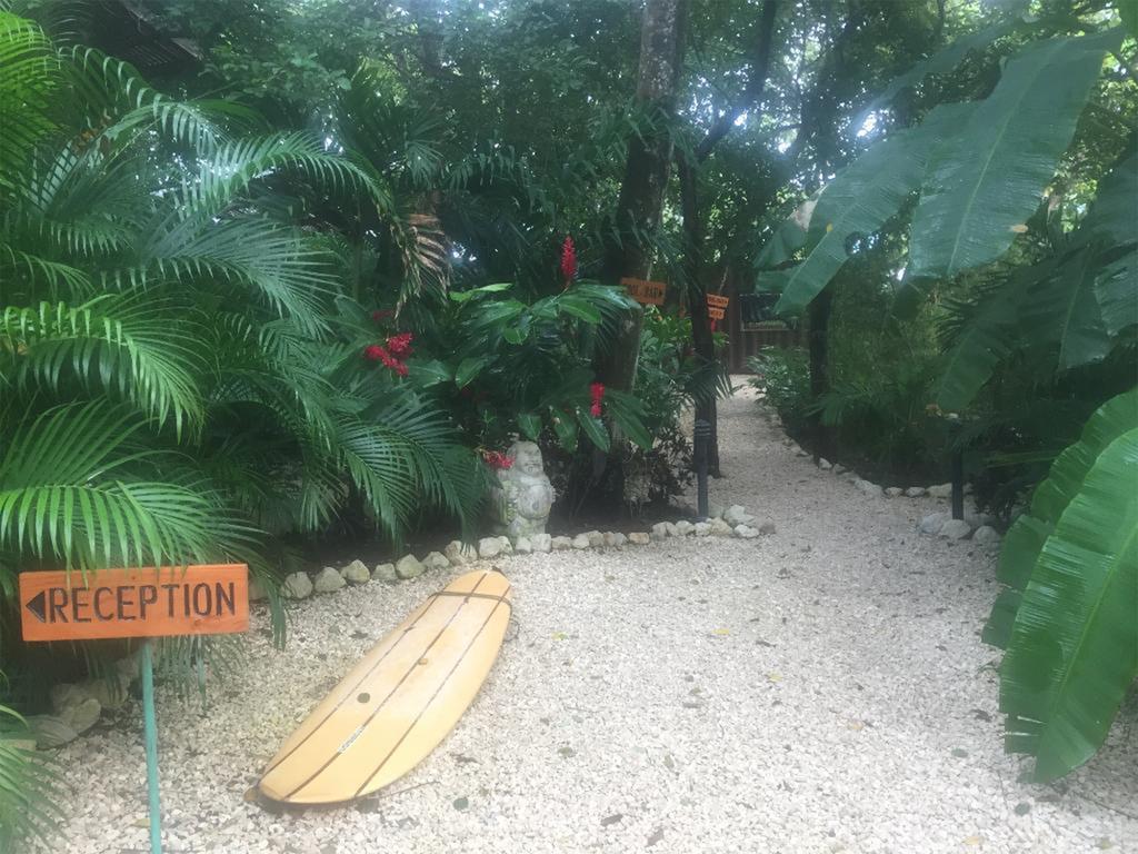 Sanctuary Hotel Nosara