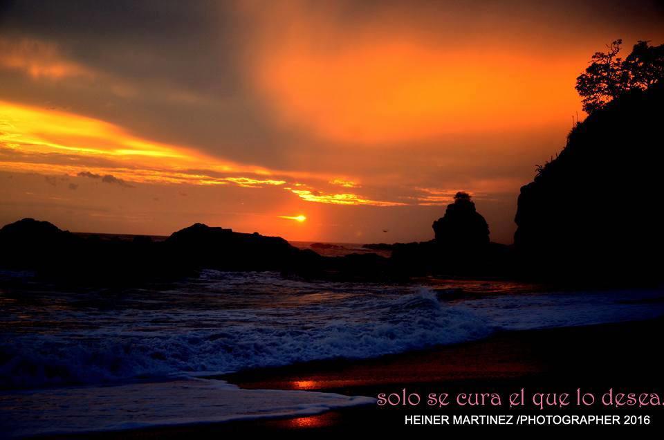 Cabinas Surf Arribadas Ostional Wildlife Refuge