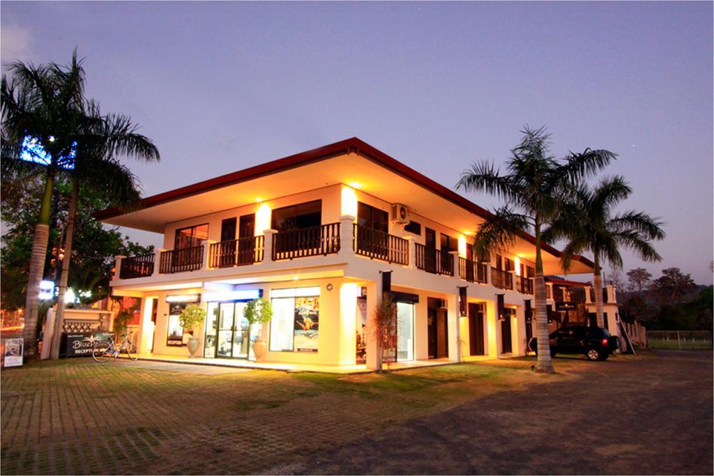 Blue Palm Jaco