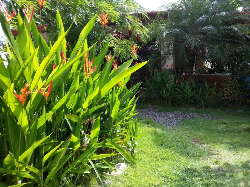 Hotel Hotel Green Jaco