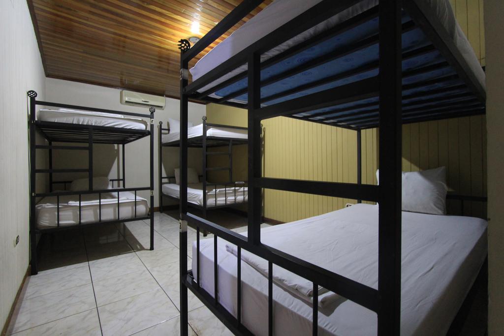 Hostel Backpackers