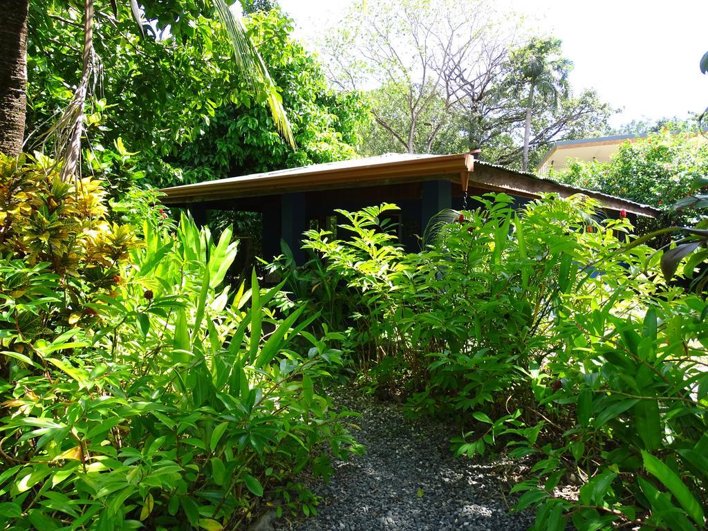 Indigo Yoga Surf Malpais