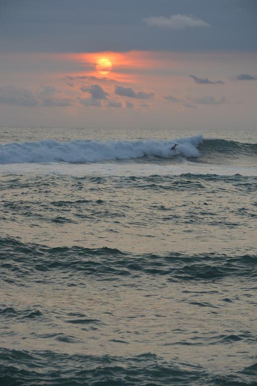 Indigo Yoga Surf 2*