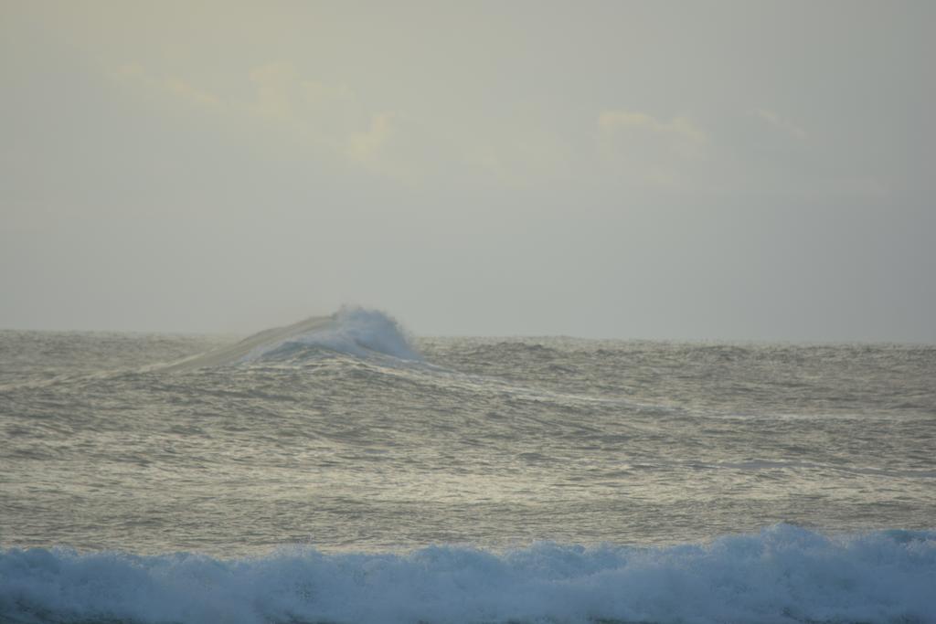 Hotel Indigo Yoga Surf