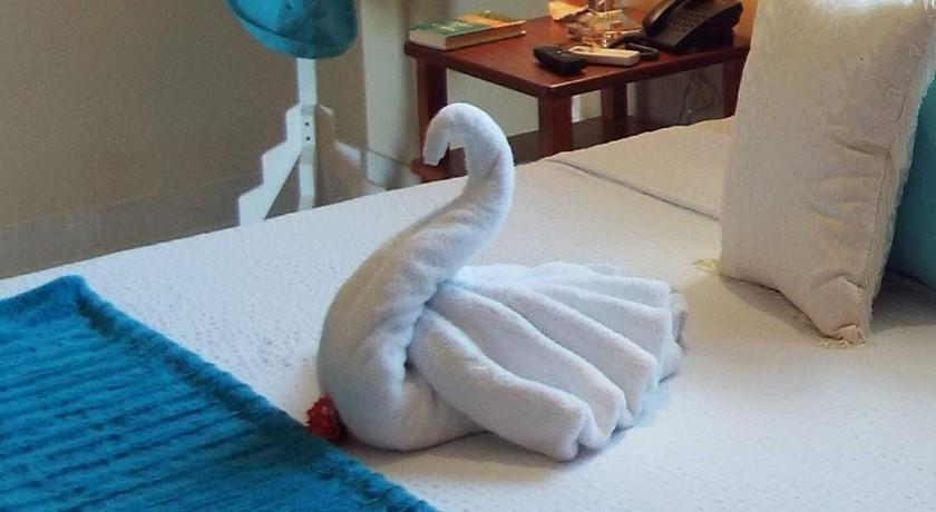 La Gaviota Tropical *