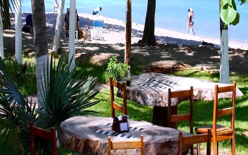 La Gaviota Tropical