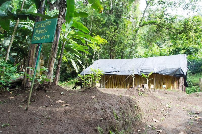 Montana De Fuego All Inclusive Hotel La Fortuna
