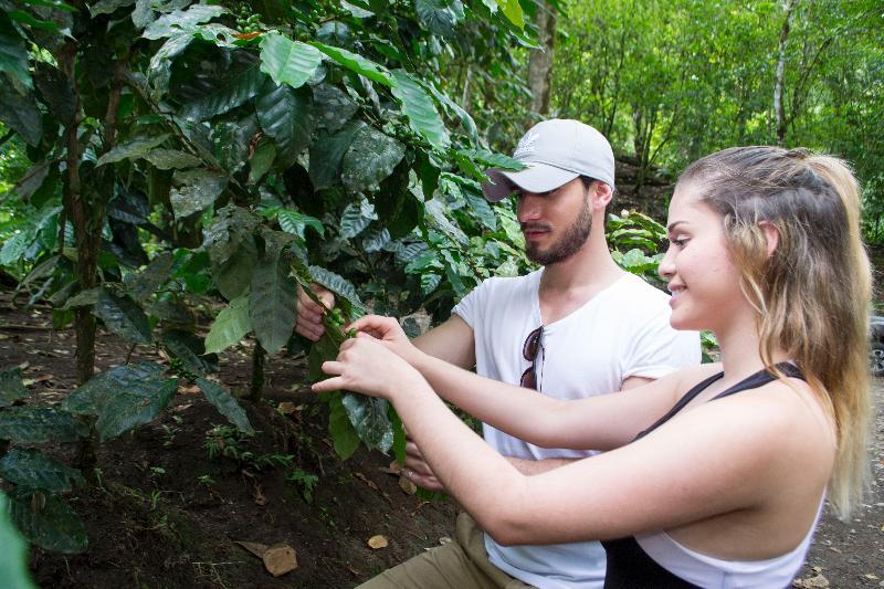 Montana De Fuego All Inclusive La Fortuna
