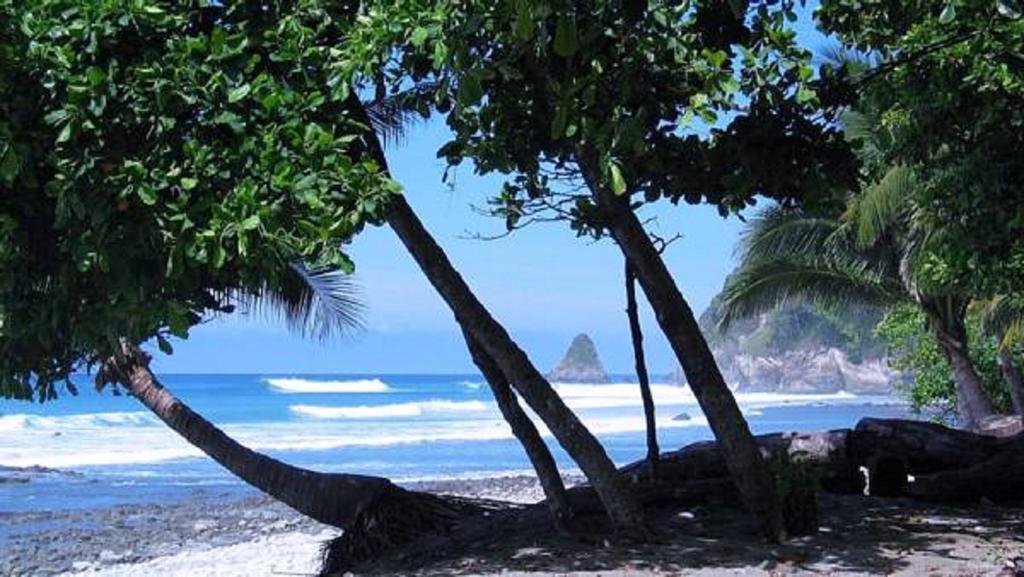 Tres Palmas Costa Rica