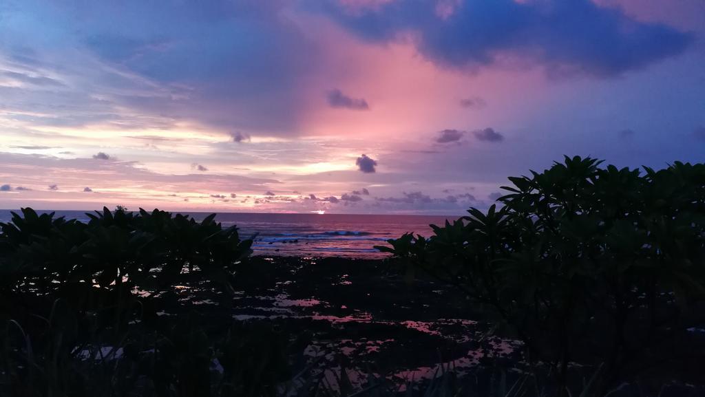 Oceanfront Gem At La Joya De Lagarto Guest house *