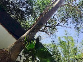 Nahua 3* Potrero (Guanacaste)