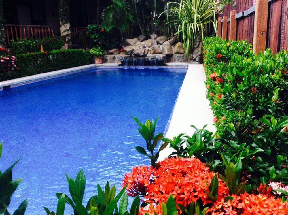 The Backyard