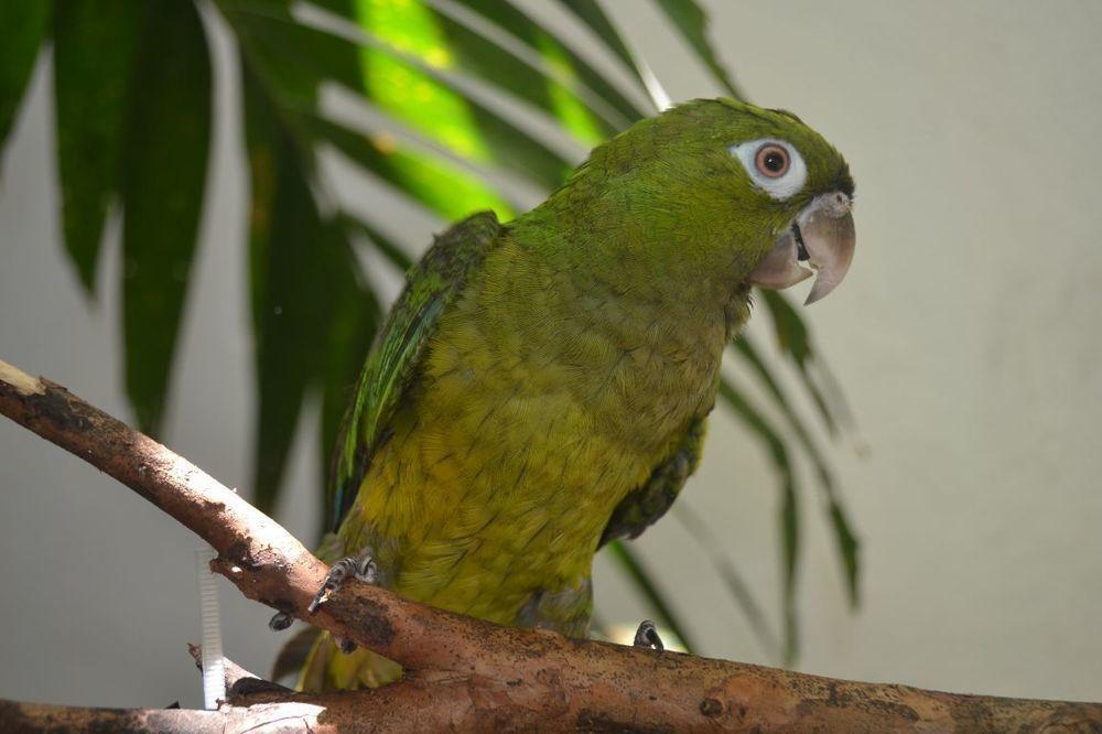 Hotel Arenal By Regina