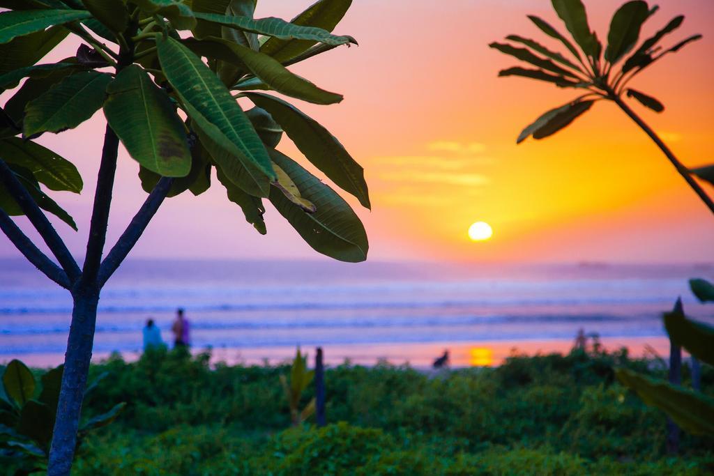 Hotel Olas Verdes Hotel Nosara