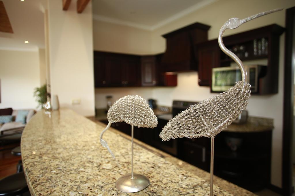 Villa Palm Coast Luxury Esterillos Este