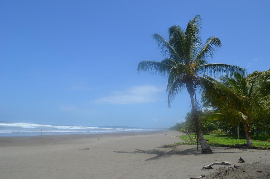 Palm Coast Luxury Villa Esterillos Este