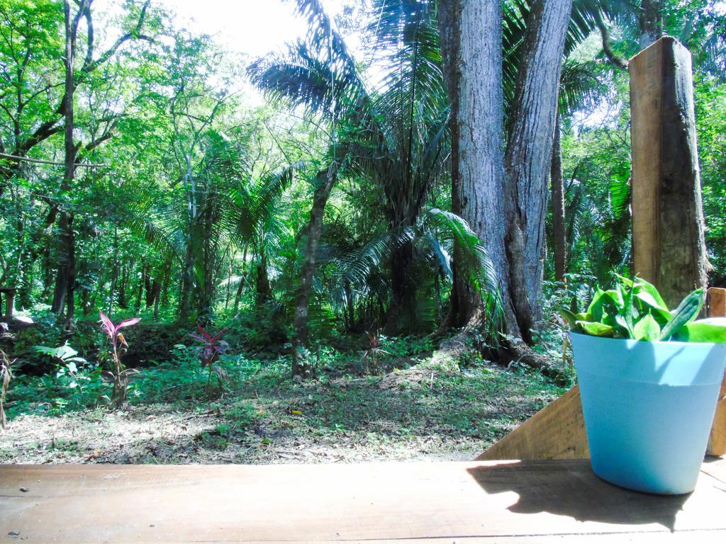 Bar'coquebrado Camping