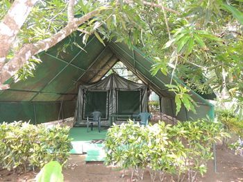 Corcovado Adventures Tent Camp Hotel