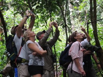 Hotel Corcovado Adventures Tent Camp Ciudad Cortes