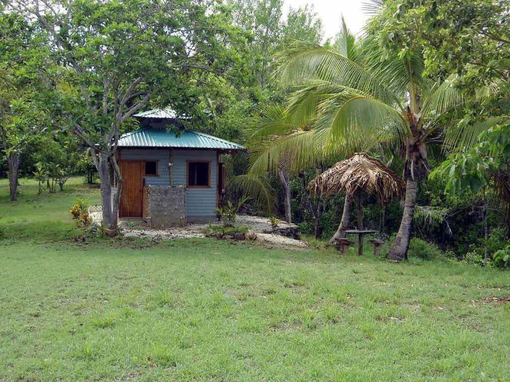 Treetops Bed & Breakfast San Juanillo