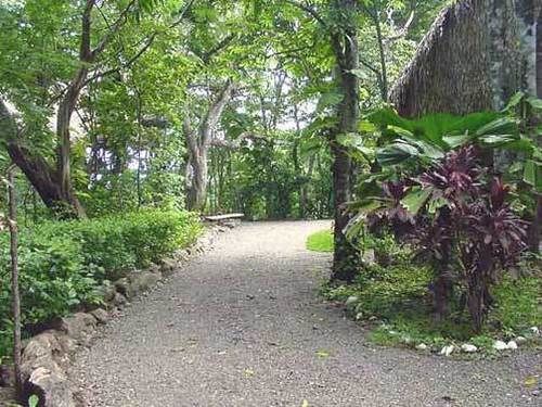 Treetops Bed & Breakfast 2*
