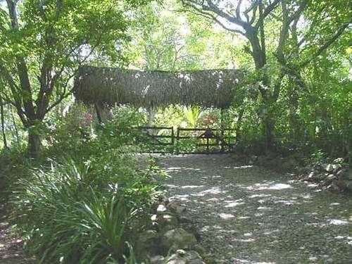 Bed & Breakfast Treetops