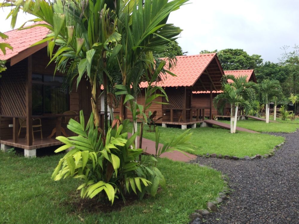 Arenal *