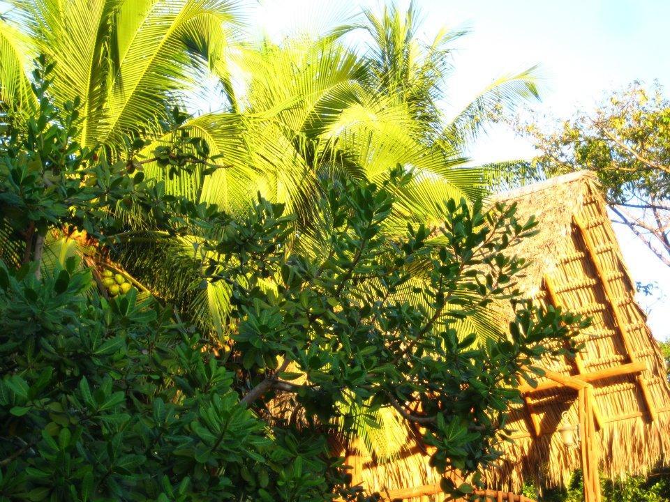 La Paz Holiday park