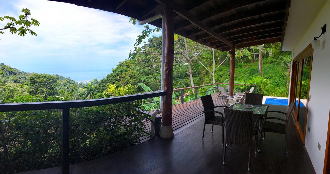 Pajaro Azul #4 * Manuel Antonio