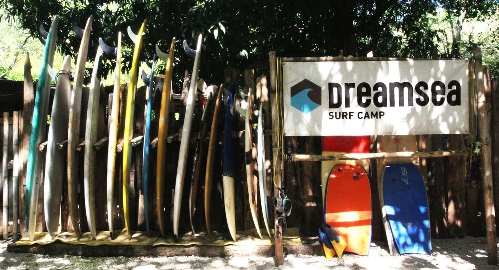 Dreamsea Surf Camp Costa Rica Hostel
