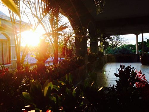 Tamarindo Hostel Resort Hostel *