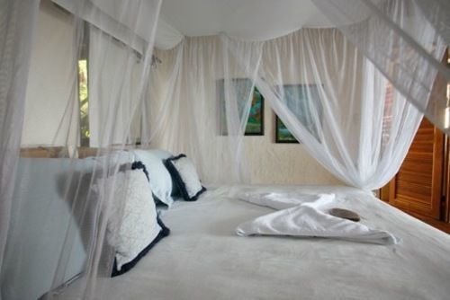 Hotel Bosque Del Cabo Rain Forest 3*