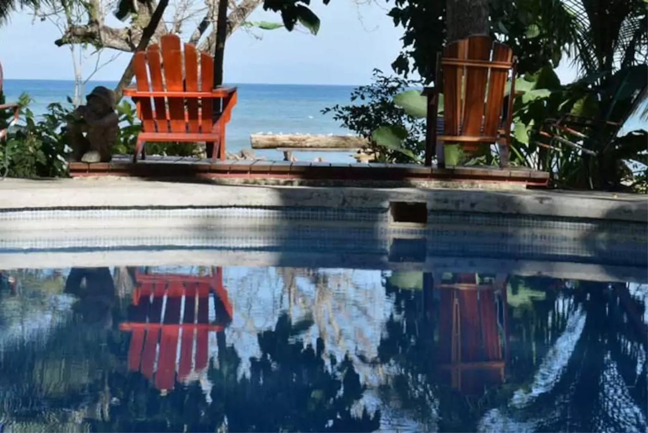 Howler Monkey Hotel Montezuma
