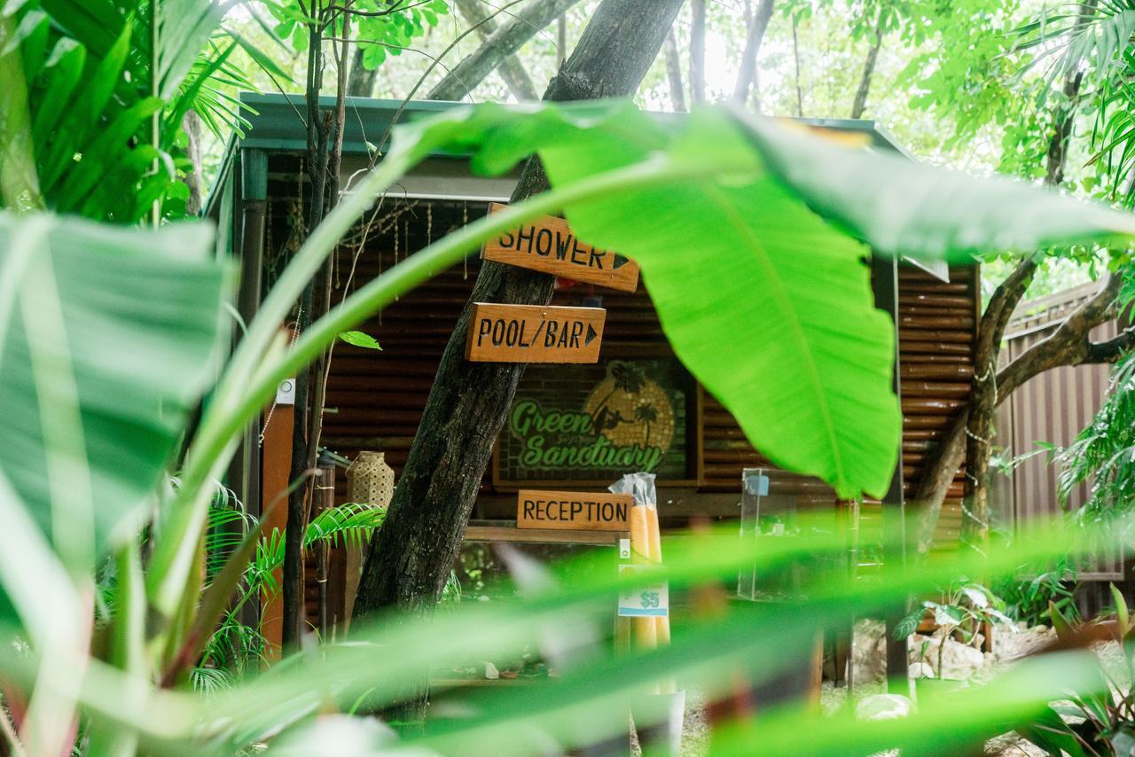 Sanctuary Nosara