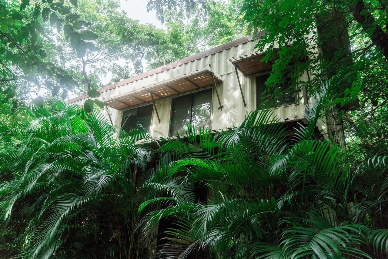 Sanctuary Nosara