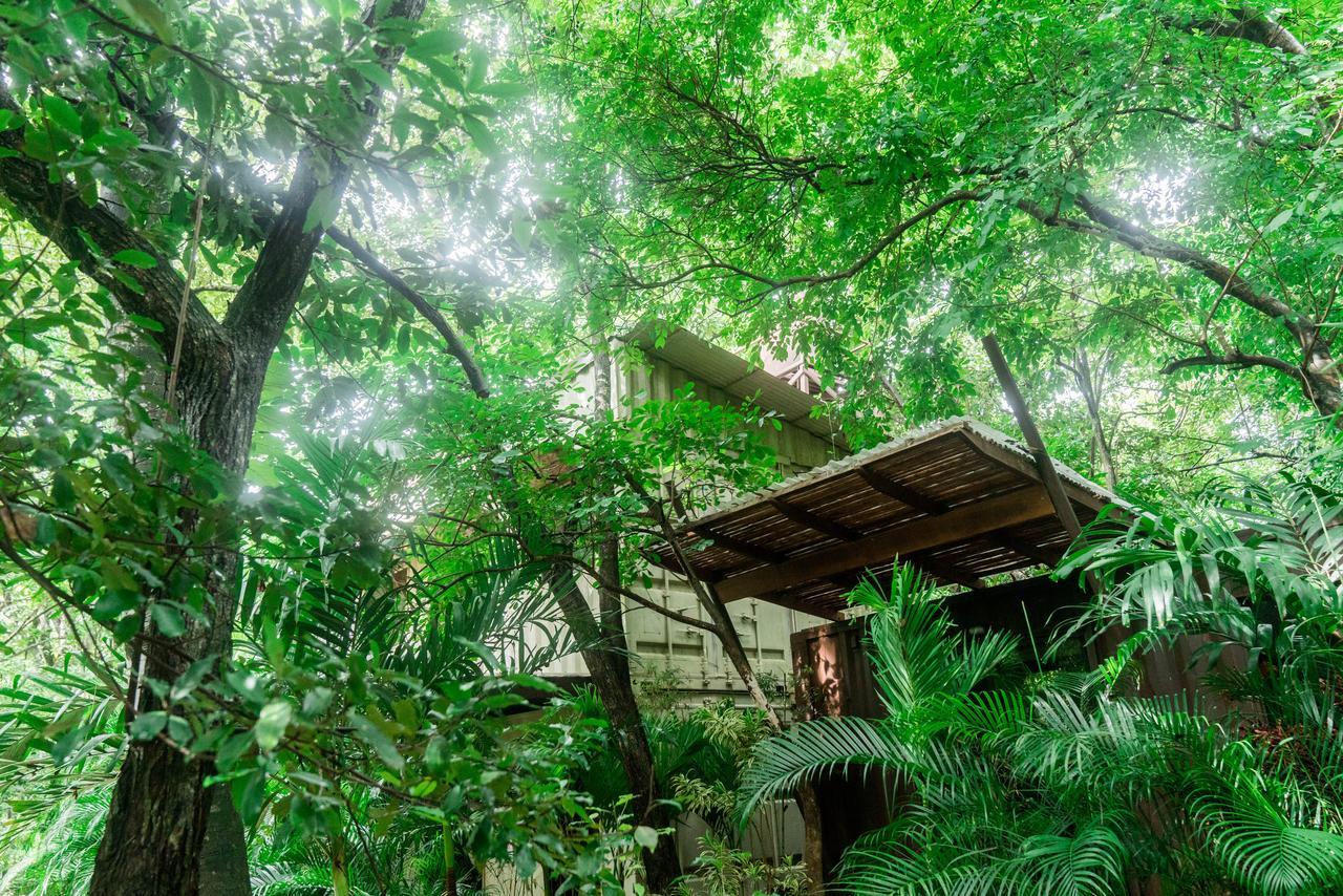 Sanctuary Hotel Nosara