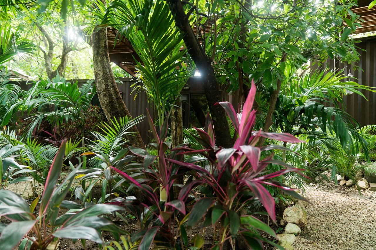 Sanctuary 3* Nosara