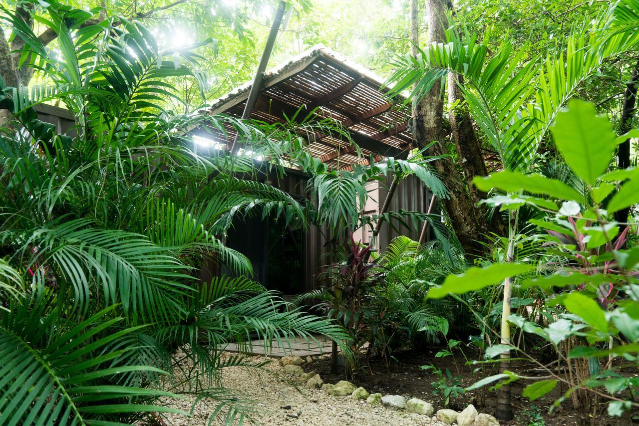 Sanctuary Nosara