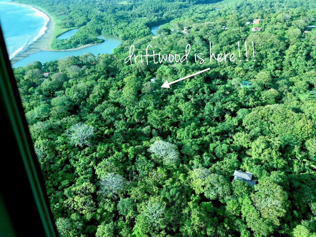 Driftwood Glamping & Boutique Luxury tent