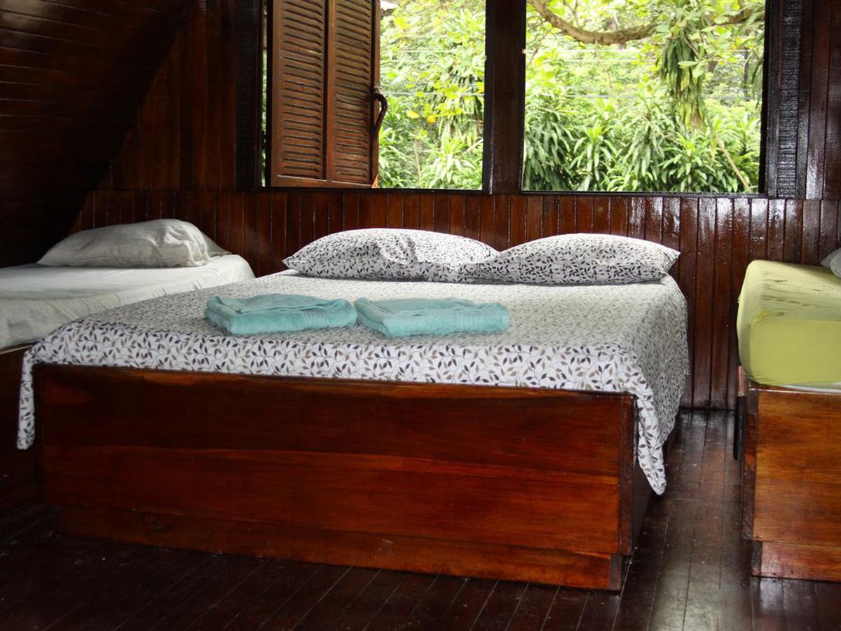 Howler Monkey Hotel 2*