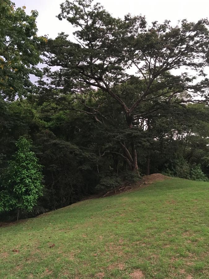 La 3* Puerto Carrillo