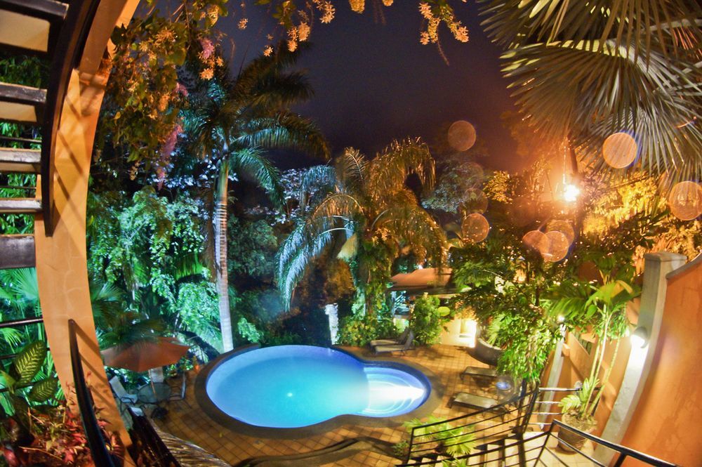Jungle Vista Boutique Hotel