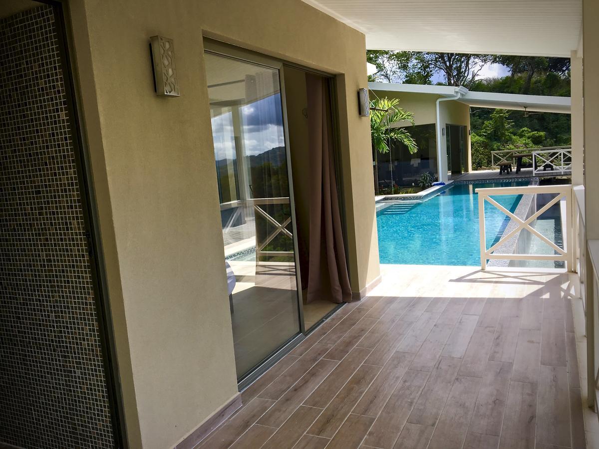 Amazing Ocean View Vista Chocoyas *