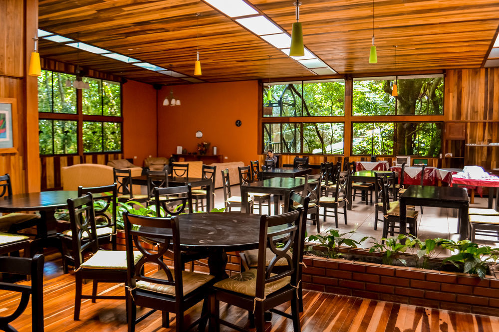 Jaguarundi Jungle - Hotel Monteverde
