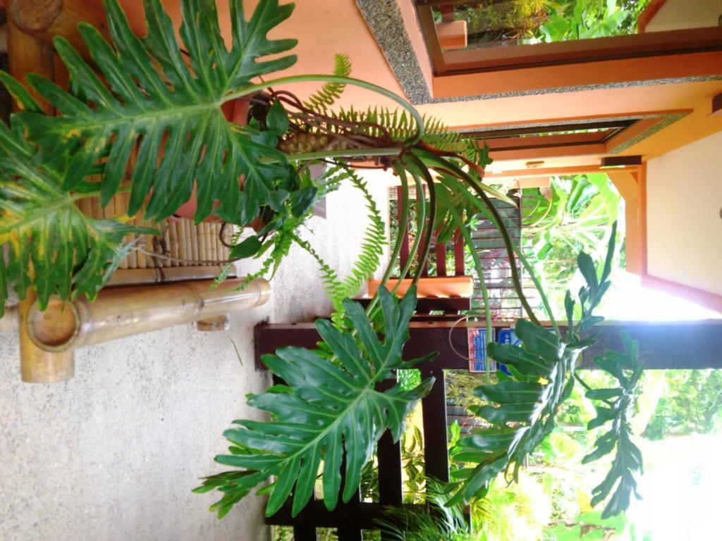 Hotel On The Park Manuel Antonio