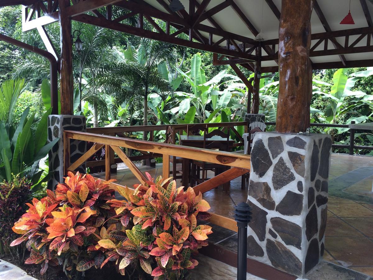 Mussaenda, Arenal